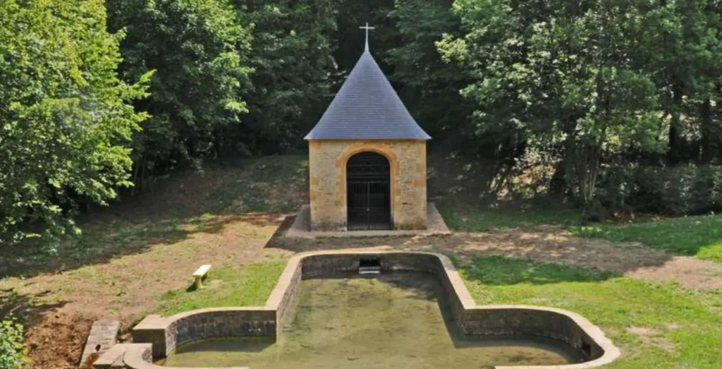 Randonnée en Forêt